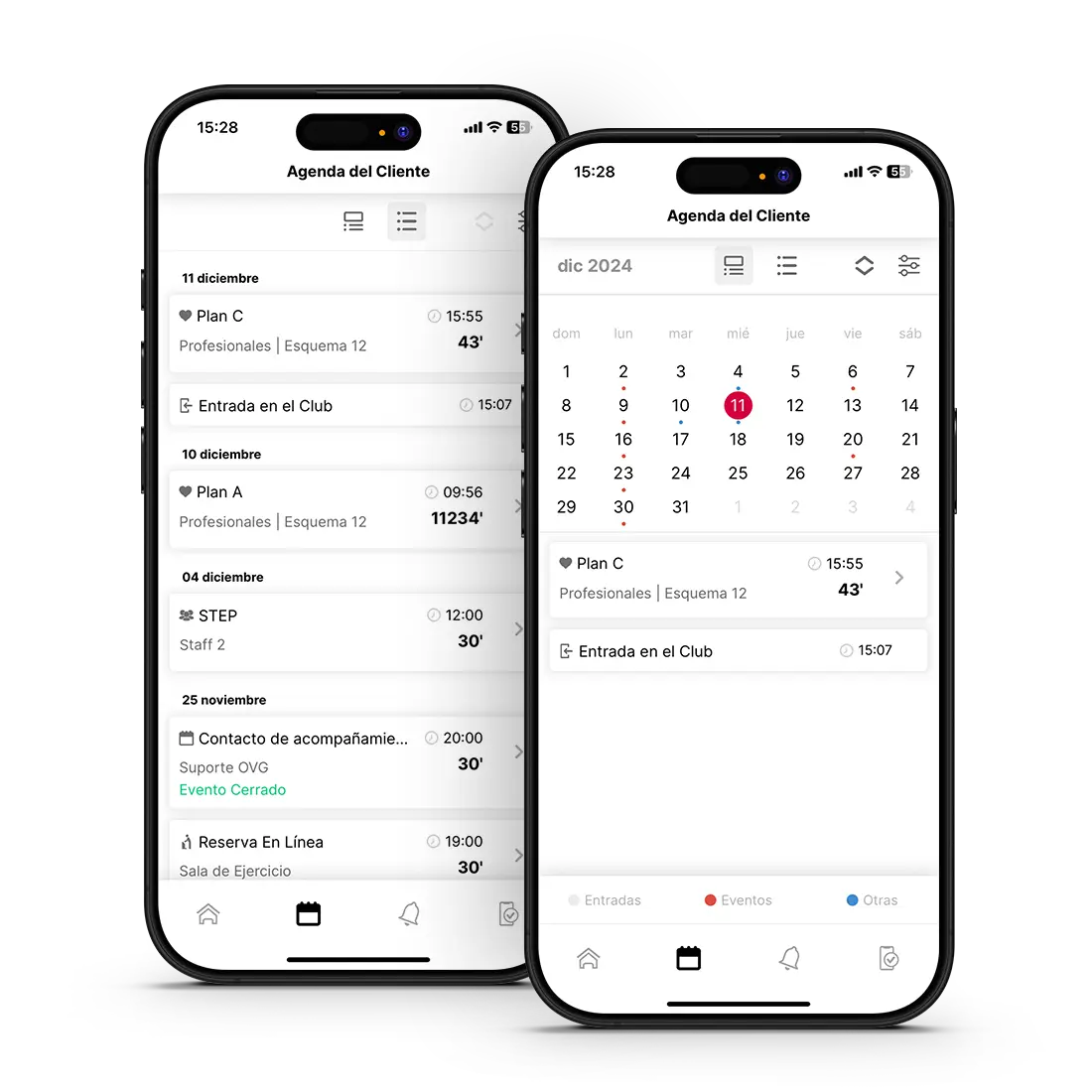 Gestión de la Agenda de los Profesionales